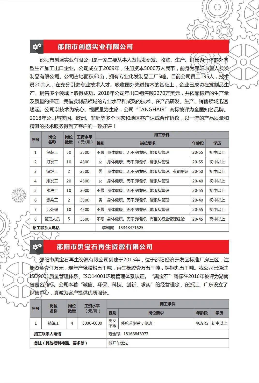 邵陽市招聘網最新招聘動態(tài)深度解析，邵陽市招聘網最新動態(tài)深度解析