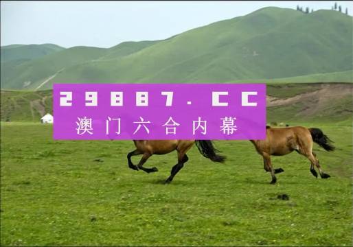 澳門天天彩期期精準(zhǔn)龍門客棧,實(shí)地?cái)?shù)據(jù)驗(yàn)證策略_FHD78.739