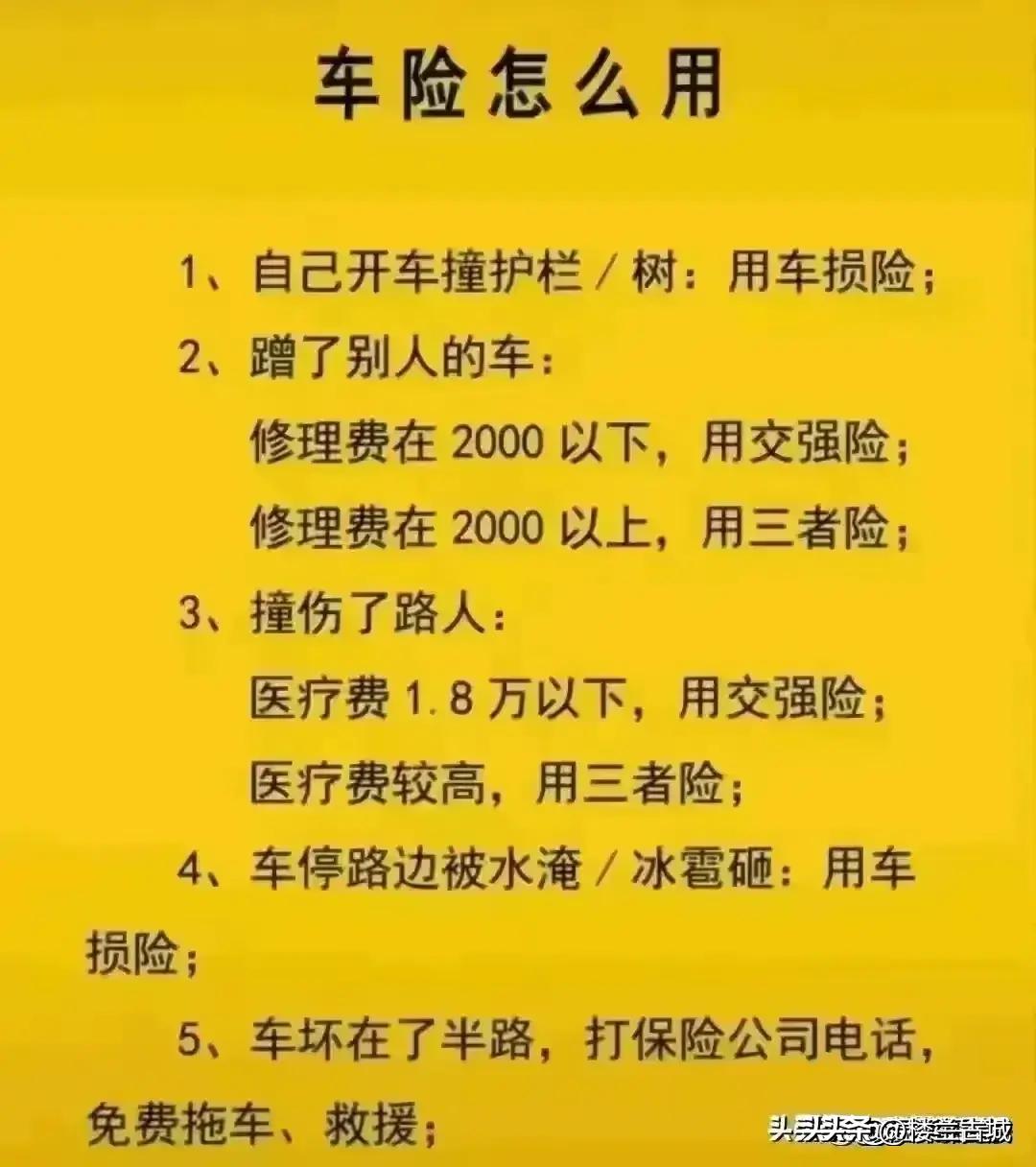 參考消息數(shù)字報(bào)，重塑新聞行業(yè)的數(shù)字化先鋒，重塑新聞行業(yè)先鋒，數(shù)字化引領(lǐng)下的參考消息數(shù)字報(bào)時(shí)代