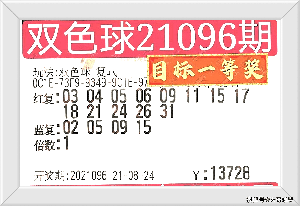 新澳門彩開獎結(jié)果，探索隨機(jī)性與樂趣的交匯點(diǎn)，新澳門彩開獎結(jié)果，隨機(jī)性與樂趣的交匯點(diǎn)探索