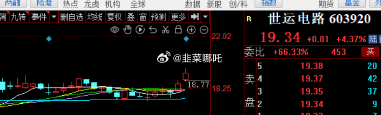 探索603920股票，市場趨勢、公司概況與投資策略，揭秘603920股票，市場趨勢、公司概況與最佳投資策略探索