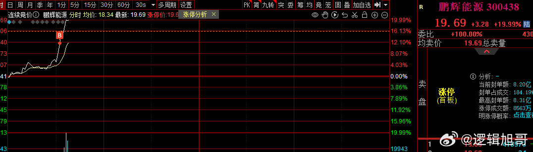 關(guān)于股票300438的全面解析，股票300438全方位深度解析