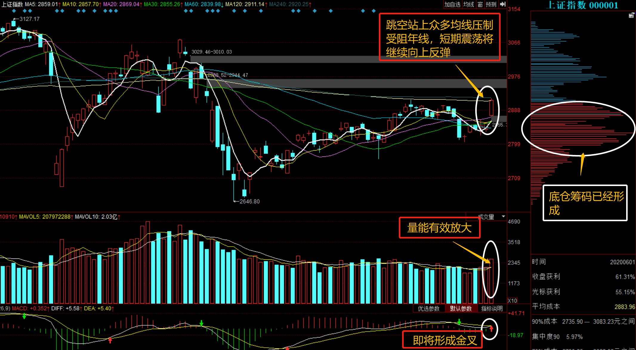 深度解析，300013股票行情及市場(chǎng)走勢(shì)，深度解析，股票行情與市場(chǎng)走勢(shì)分析——以300013為例