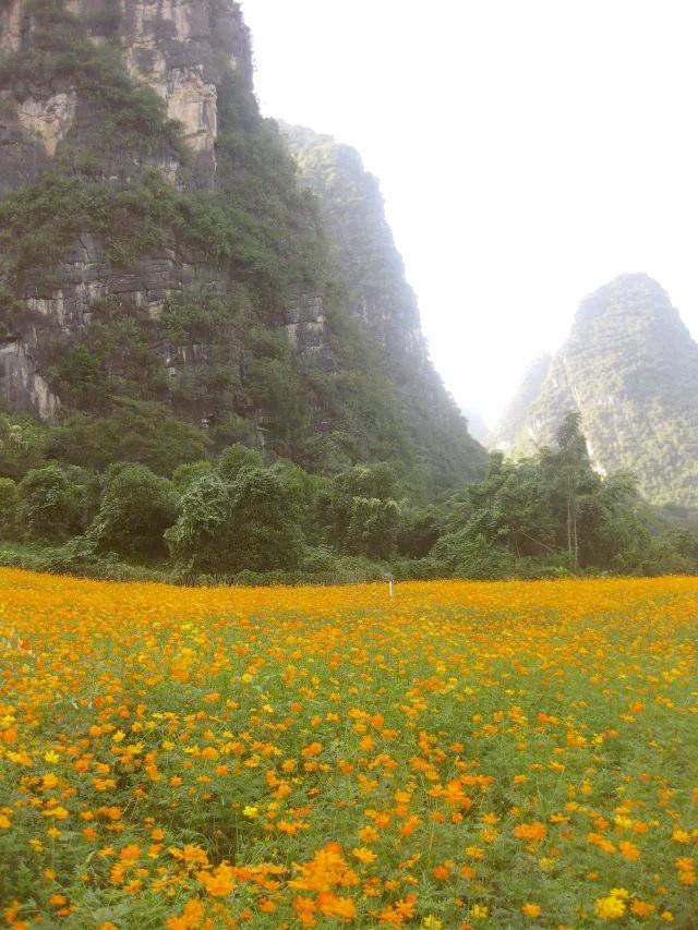 遇龍河漂流，一次難忘的水上冒險(xiǎn)之旅，遇龍河漂流，難忘的水上冒險(xiǎn)之旅體驗(yàn)