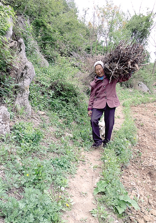 農(nóng)村中老年人征婚，尋找幸福晚年的新起點(diǎn)，農(nóng)村中老年征婚，晚年幸福的起點(diǎn)之路