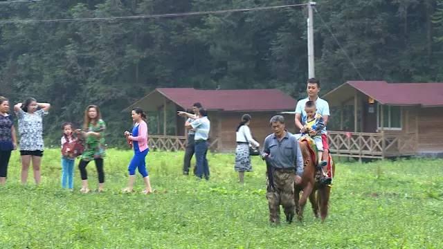 公益相親平臺(tái)，搭建愛的橋梁，助力幸福人生，公益相親平臺(tái)，搭建愛的橋梁，共創(chuàng)幸福人生之旅