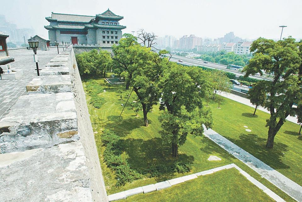 北京哪個(gè)公園最值得去，探尋城市綠肺的奧秘，探尋北京城市綠肺，哪個(gè)公園最值得一游？