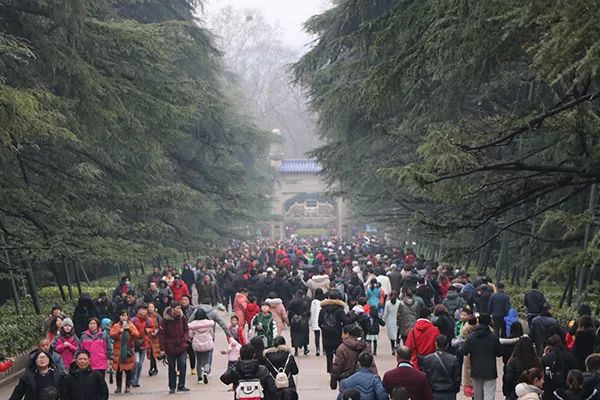 南京當?shù)芈糜螆F兩日游，深度探索古都文化，南京深度兩日游，古都文化探索之旅