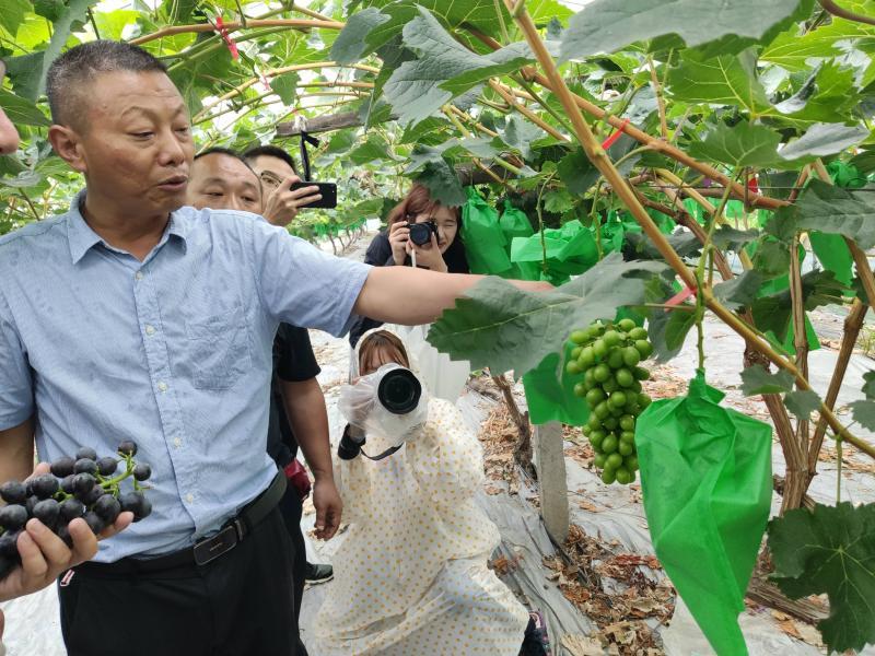 上海正規(guī)的相親網(wǎng)，連接真摯心靈的橋梁，上海正規(guī)相親網(wǎng)，真摯心靈的連接橋梁