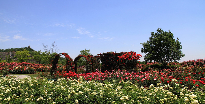 上海辰山植物園門票價(jià)格詳解，上海辰山植物園門票價(jià)格全解析