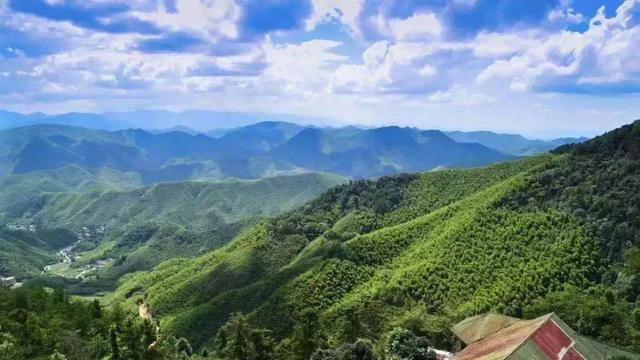 莫干山風(fēng)景名勝區(qū)，自然與人文的絕美交融，莫干山風(fēng)景名勝區(qū)，自然與人文的絕美交融之旅