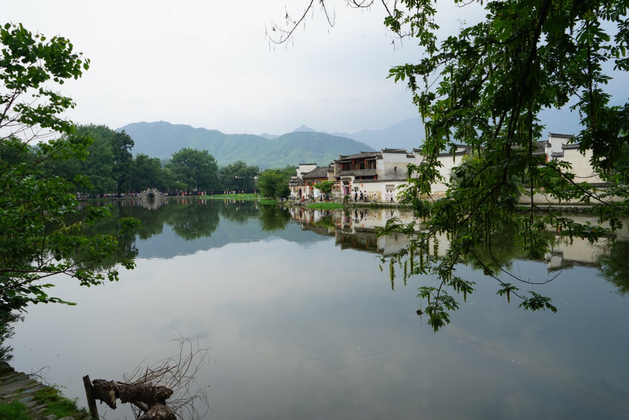 宏村風(fēng)景區(qū)，古韻猶存的徽派建筑與自然風(fēng)光交融的畫卷，宏村風(fēng)景區(qū)，古徽建筑與自然風(fēng)光的和諧交融畫卷