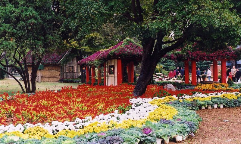 中山公園，歷史與自然的美好交織，中山公園，歷史與自然之美的交融勝地