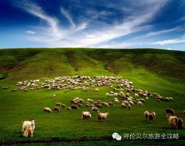 呼倫貝爾草原自由行旅游攻略，呼倫貝爾草原自由行全攻略，暢游草原之旅