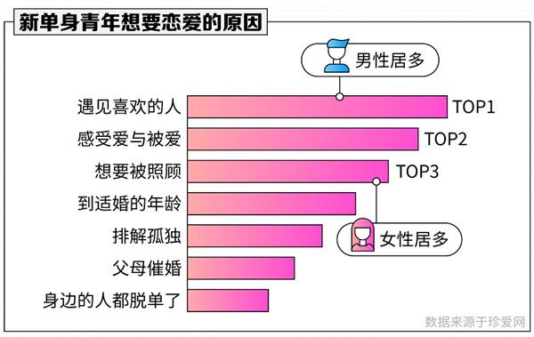 珍愛(ài)網(wǎng)最新版本下載安裝，探索與體驗(yàn)，珍愛(ài)網(wǎng)最新版本下載，探索與體驗(yàn)之旅