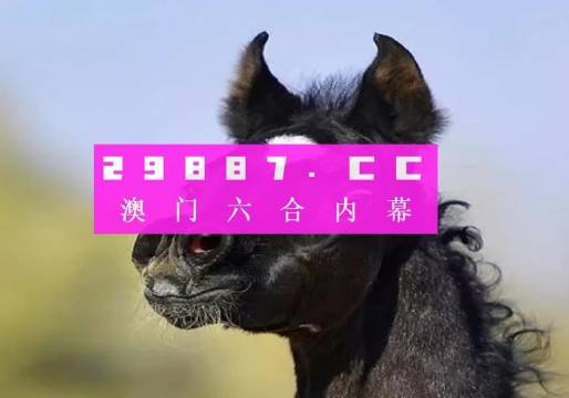 澳門特馬今晚開獎81期，期待與驚喜交織的時刻，澳門特馬81期開獎，期待與驚喜的交匯時刻