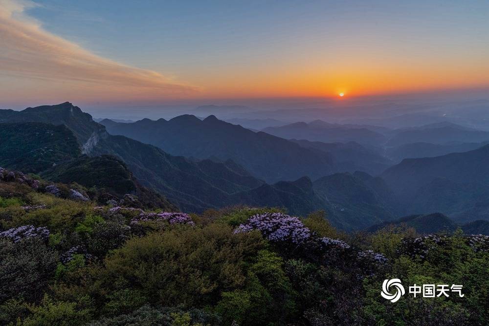 重慶金佛山