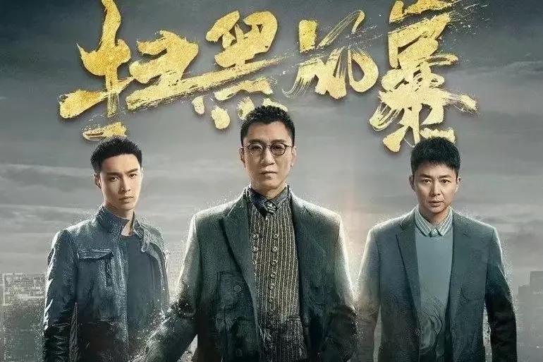 掃黑風(fēng)暴演員表深度解析，掃黑風(fēng)暴演員表全面深度解析