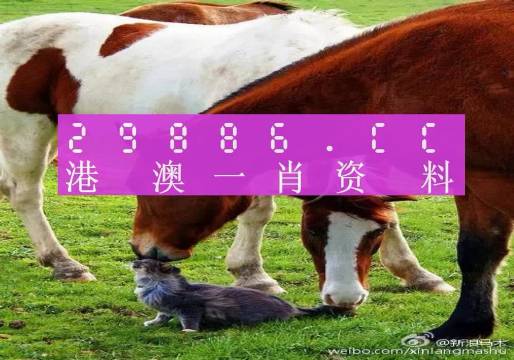 今晚奧門(mén)碼開(kāi)獎(jiǎng)結(jié)果揭曉，激情與期待的交匯點(diǎn)，奧門(mén)今晚開(kāi)獎(jiǎng)結(jié)果揭曉，激情與期待的瞬間