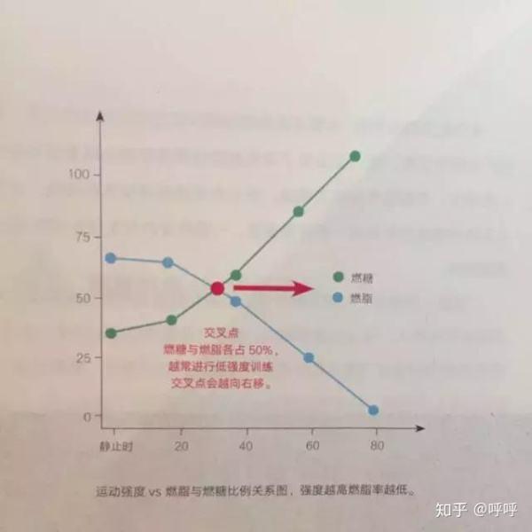 做哪些運動可以減肥，運動減肥，最有效的瘦身運動有哪些？