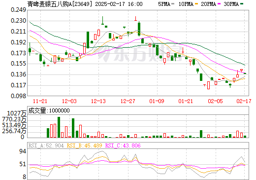 中投股份股票價(jià)格的深度解析，中投股份股票價(jià)格的全面解析與深度探討