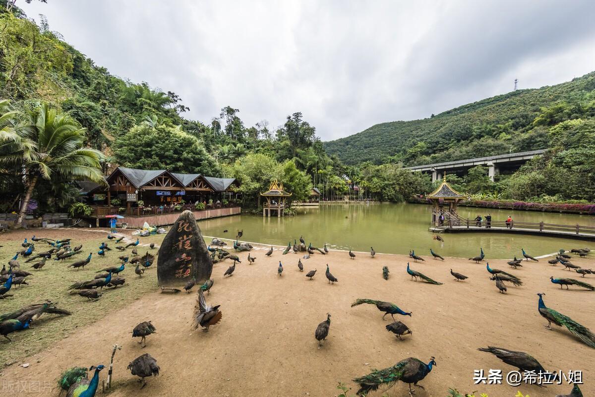 西雙版納旅游必去景點介紹