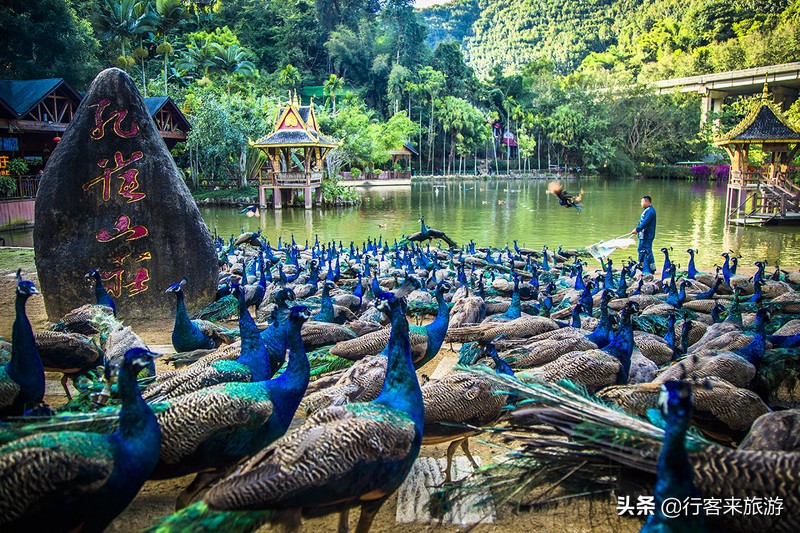 西雙版納旅游必去景點(diǎn)推薦