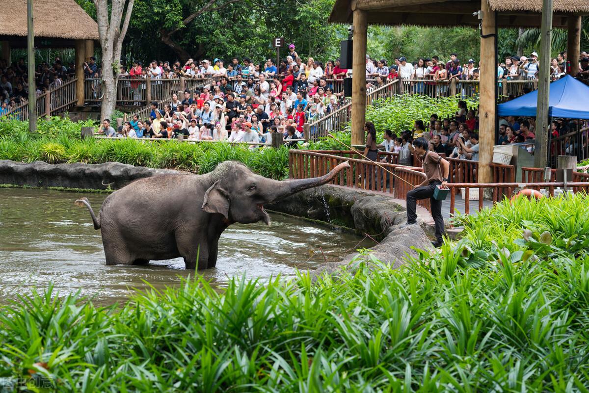 長隆動(dòng)物園，自然與人類共融的奇妙世界，長隆動(dòng)物園，自然與人類共融的樂園