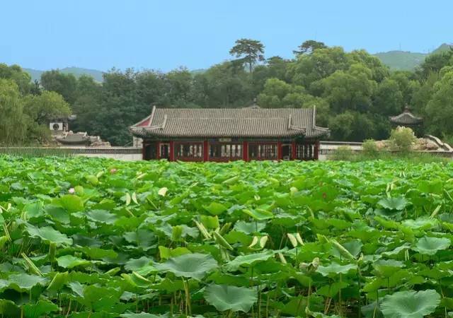 好去處推薦