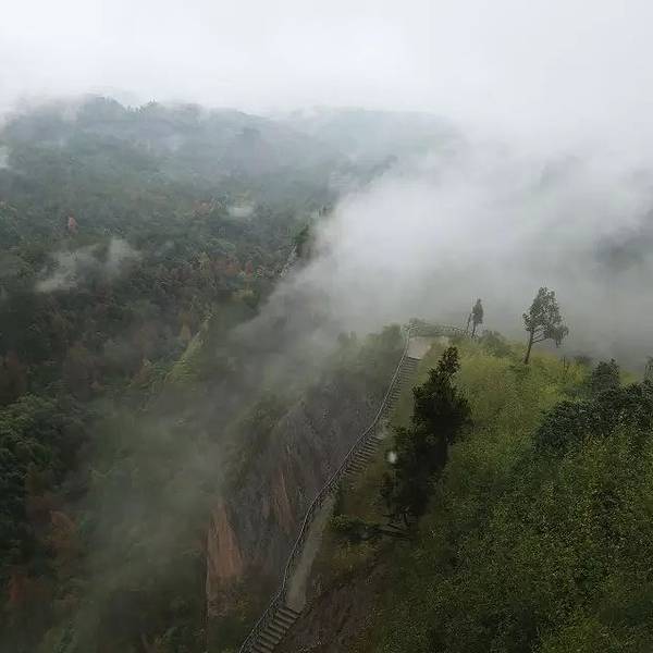 通道萬(wàn)佛山景區(qū)為什么關(guān)閉